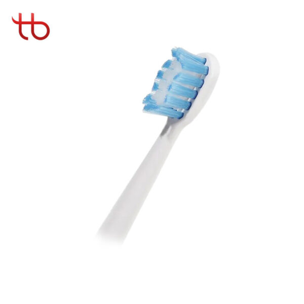 Sonic Electric Toothbrush CH901