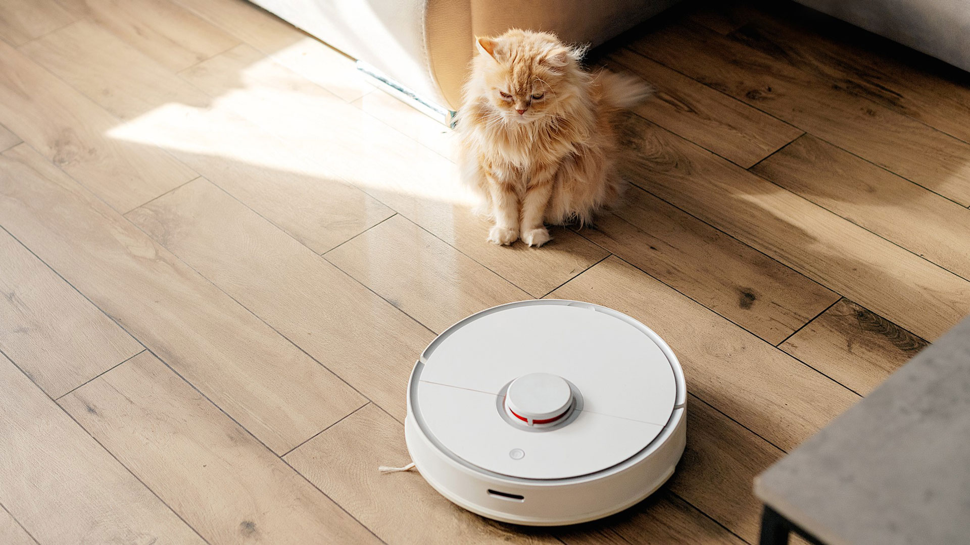 Mistakes when buying a robotic vacuum cleaner